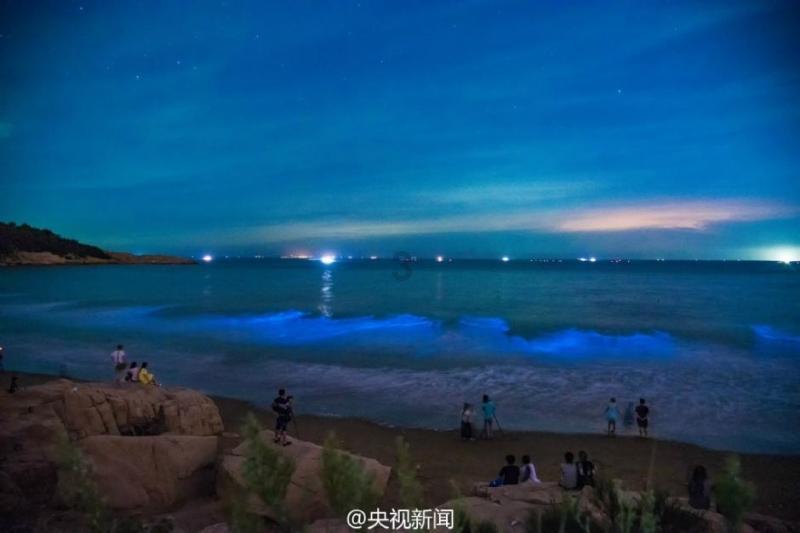 啊?“惯三”都有人要啊?
