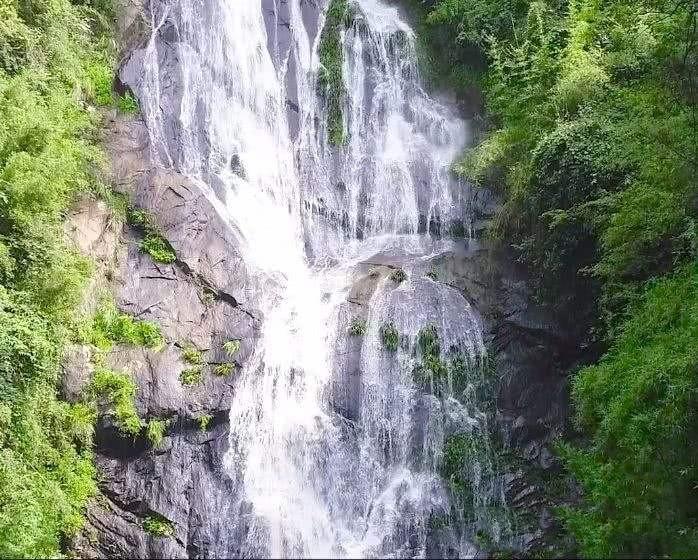眼镜蛇秘密行动